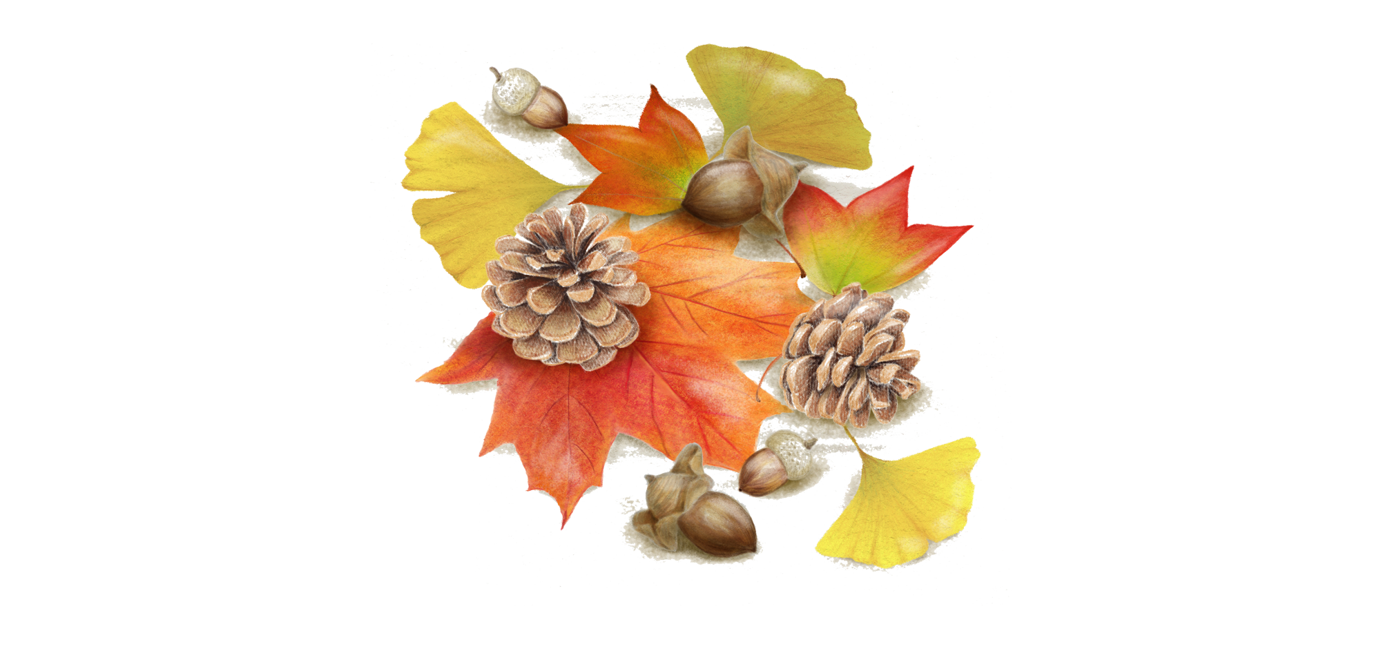 時に癒し しばしば症状を和らげ 常に慰める